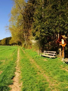 Bellenberger Landschaft